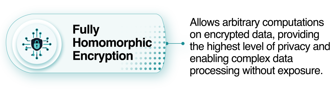 Fully Homomorphic Encryption